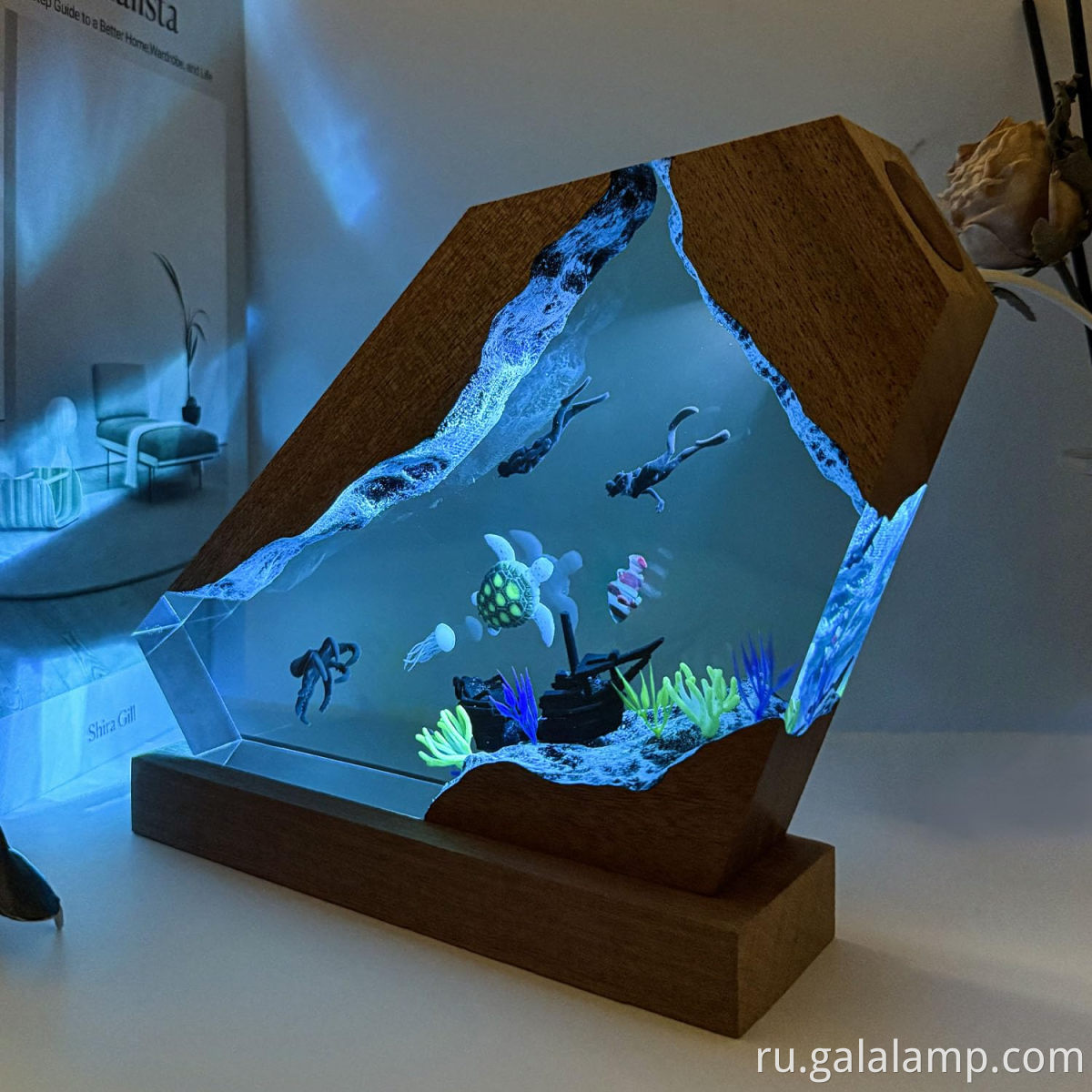 4_718Obteqwnl._SL1500_ 4_718obteQwNL._SL1500_